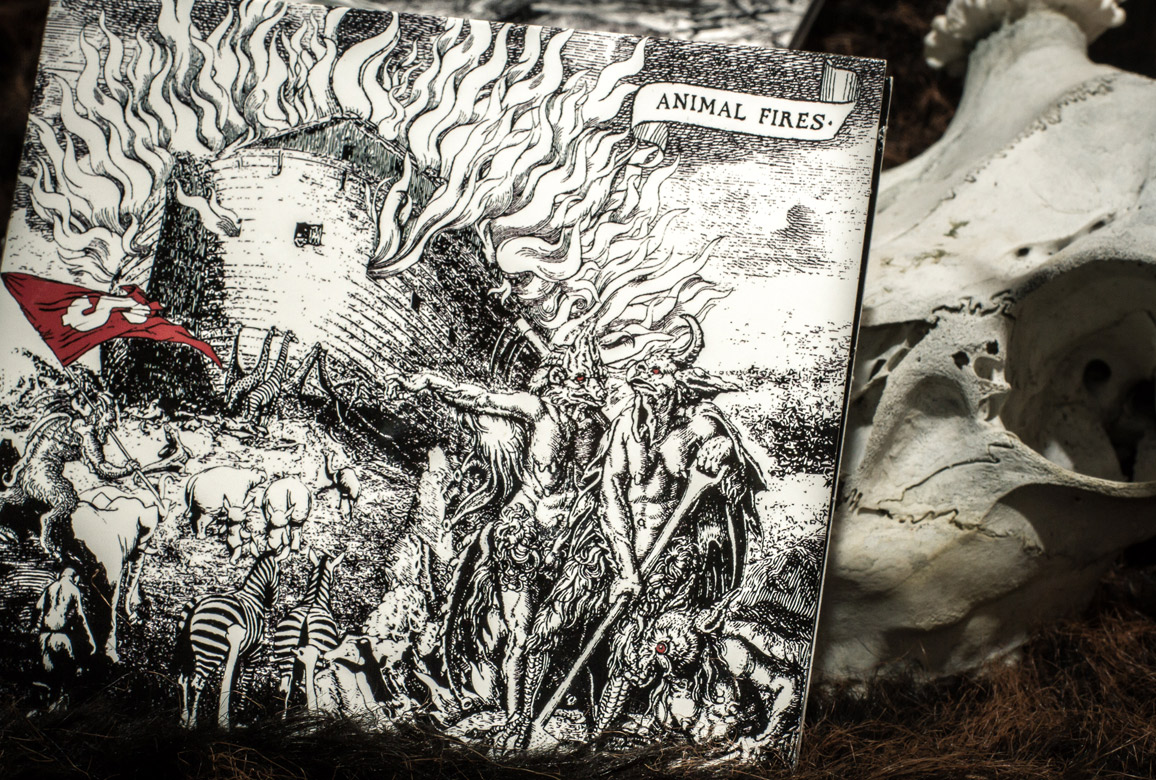 Animal Fires